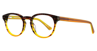 Paradox Eyeglasses P5006 Marbled Brown & Yellow/10