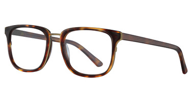 Takumi Eyeglasses TK1029 1-Demi Amber & Gold/10