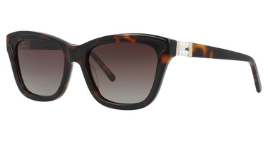 Divaldi Eyeglasses DV0099 Brown/10