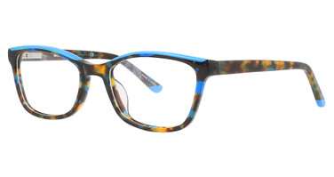 db4k Eyeglasses Queen Bee Blue/Blue Tortoise/2