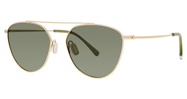 Paradigm Eyeglasses 19-33 Gold/YG