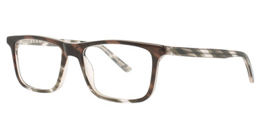 Alan J Eyeglasses AJ-138 Zebra/1
