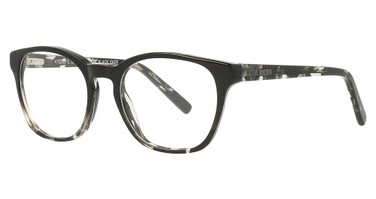 Steve Madden Eyeglasses Dexx BLACK FADE