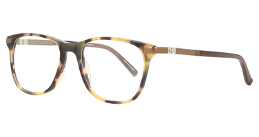 Easyclip Eyeglasses EC555 Demi Amber & Matt Brown / Matt Brown/10
