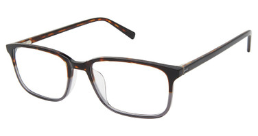 Ted Baker Eyeglasses TMUF003 tortoise grey/TOR