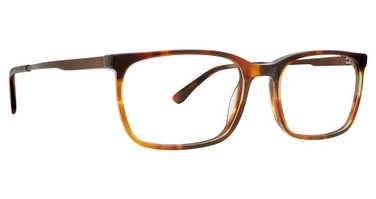 Argyleculture Eyeglasses Gilmour Brown Horn/BRHN