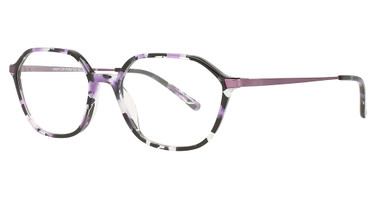 Easyclip Eyeglasses EC550 Tortoise & Brushed Lilas Steel/80
