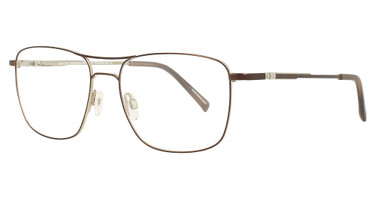 Easyclip Eyeglasses EC579 Stn Steel Gold & Matt Brown / Stn Steel Gold & Matt Brown/10