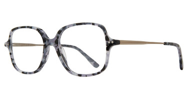 Eye Q Eyewear Eyeglasses MP208 DEMI BLACK