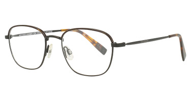 Steve Madden Eyeglasses Irvine TORTOISE