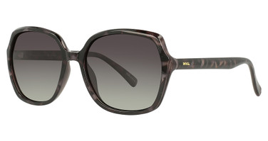 INVU Eyeglasses INVU-248 Gray - Black/1