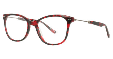 Cinzia Eyeglasses CIN-5131 Cherry Demi / Graphite/3