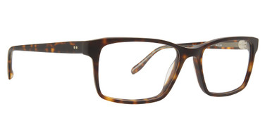 Badgley Mischka Eyeglasses Stammond Tortoise/TORT