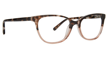 XOXO Eyeglasses Toledo Brown/Rose/BNR