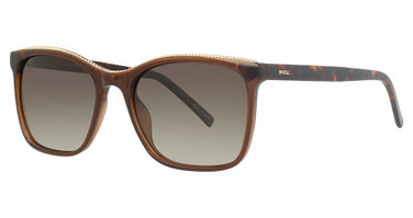 INVU Eyeglasses INVU-249 Brown / Gold/2