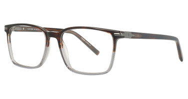 club level designs Eyeglasses CLD9336 Demi Amber/Grey/C-2
