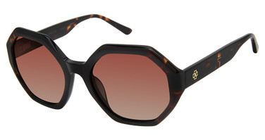 Ann Taylor Eyeglasses ATP923 BLACK TORTOISE/C01