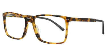 Adin Thomas Eyeglasses AT-544 Tortoise / Black/3
