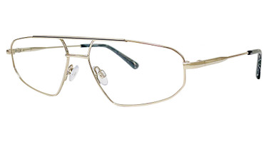 Clear Eye View Eyeglasses CEV 101M GOLD/057