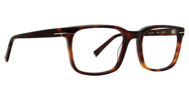 Trina Turk Eyeglasses Berkel Tortoise/TOR