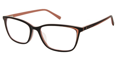 Ted Baker Eyeglasses TFW012 black/BLK