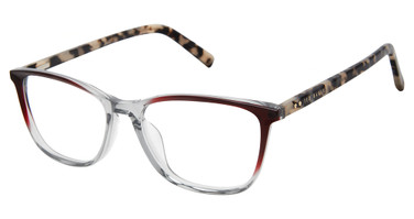 Ted Baker Eyeglasses TWUF005 grey burgundy/GRY