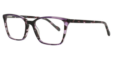 Scott Harris Eyeglasses Scott Harris 844 Amethyst Demi/2