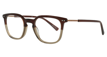 Adin Thomas Eyeglasses AT-576 Chocolate / Taupe / Copper/3