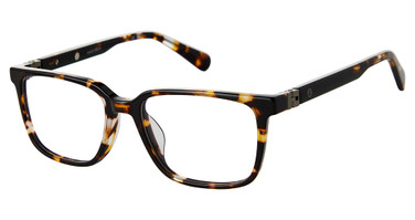 Sperry Eyeglasses CANNON TORTOISE/C01