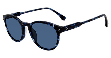 GAP Eyeglasses SGP017 Blue Horn 0BLH