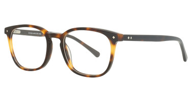Vue Eyeglasses EV1450 LIGHT TORTOISE/C1