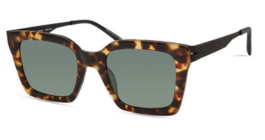 Modo Eyeglasses 475 TORTOISE/TORT