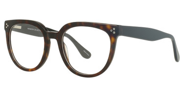 Paradox Eyeglasses P5090 Dark Tortoise / Black/10