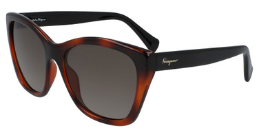 Ferragamo Eyeglasses SF957S (214) TORTOISE/214