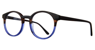 Eye Q Eyewear Eyeglasses CAMDEN Tortoise/Blue/TORT/BLU