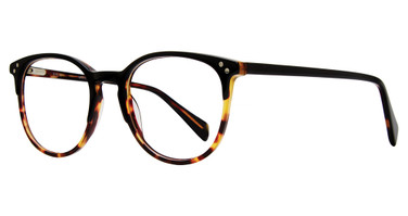 Eye Q Eyewear MP210 Black/Tortoise/BLK/TORT