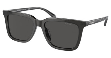 COACH Eyeglasses HC8385U CL910 TRANSPARENT DARK GREY/579387