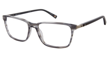 Champion Eyeglasses MOST GREY HORN/C01