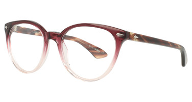 AO Eyewear Eyeglasses Sloane Berry Fade/1