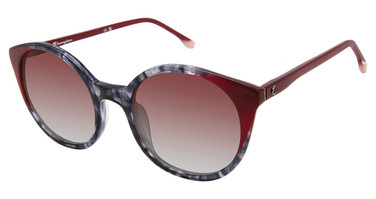 Champion Eyeglasses WREN BLACK TORTOISE/C01