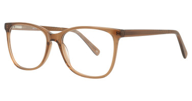 Encore Vision Inure Brown