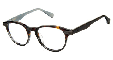Ted Baker Eyeglasses TLM004 tortoise/TOR