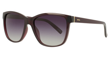INVU Eyeglasses INVU-303 Wine / Gold/1