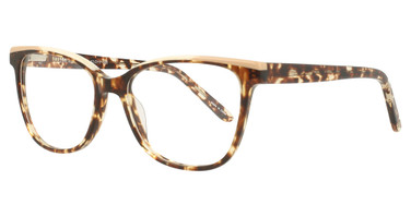Divaldi Eyeglasses DVO8254 DEMI BROWN & BEIGE/10