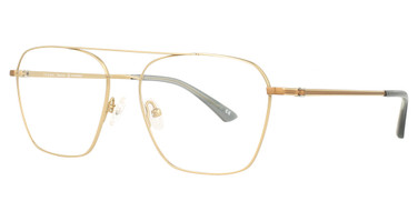 Staag Eyeglasses SG-LEE SHNY GOLD/C3