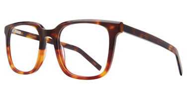 Eye Q Eyewear Eyeglasses ESSEX TORTOISE/TORT