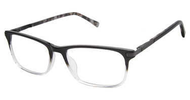 Ted Baker Eyeglasses TFM017 black/BLK