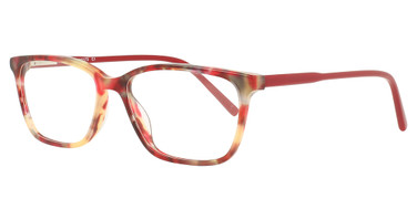 Vue Eyeglasses V1173 TORT/C1