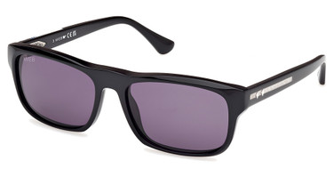 Web Eyeglasses WE0371 black/other / smoke/05A