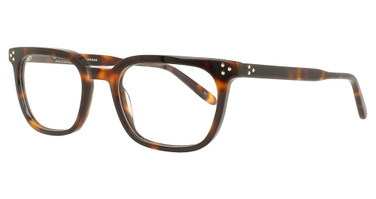Staag Eyeglasses SG-BROOKS DEMI BROWN/C3